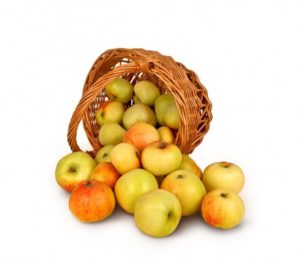 bushel of apples